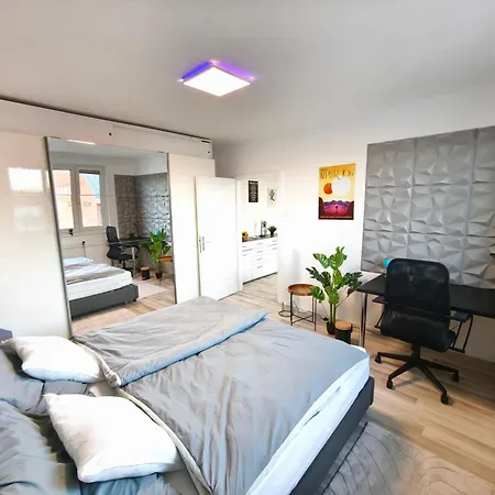 Big 1 Bedroom Near Airport & Center Apartment