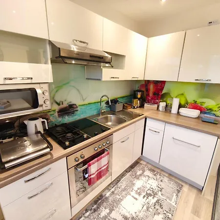 Big 1 Bedroom Near Airport & Center Apartment Schwechat