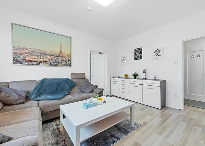 Big 1 Bedroom Near Airport & Center Apartment