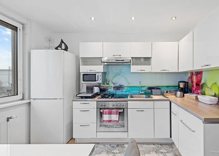 Big 1 Bedroom Near Airport & Center Apartment *