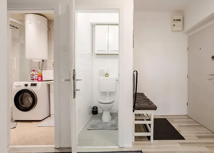 Big 1 Bedroom Near Airport & Center Apartment